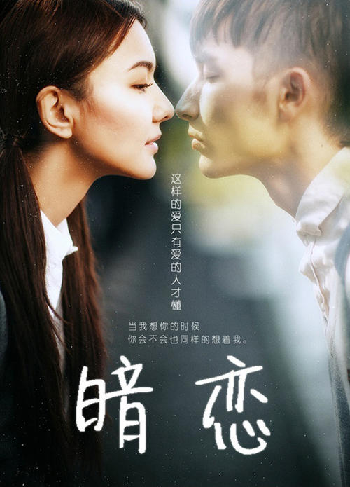 吕讷堡大学 Media diploma